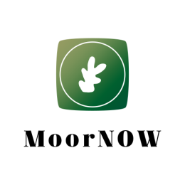 logomoornow