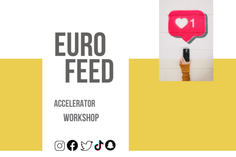 Eurofeed Accelerator Workshop